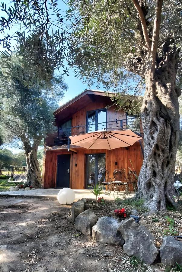 Coratina Cottage Ulcinj Exterior photo
